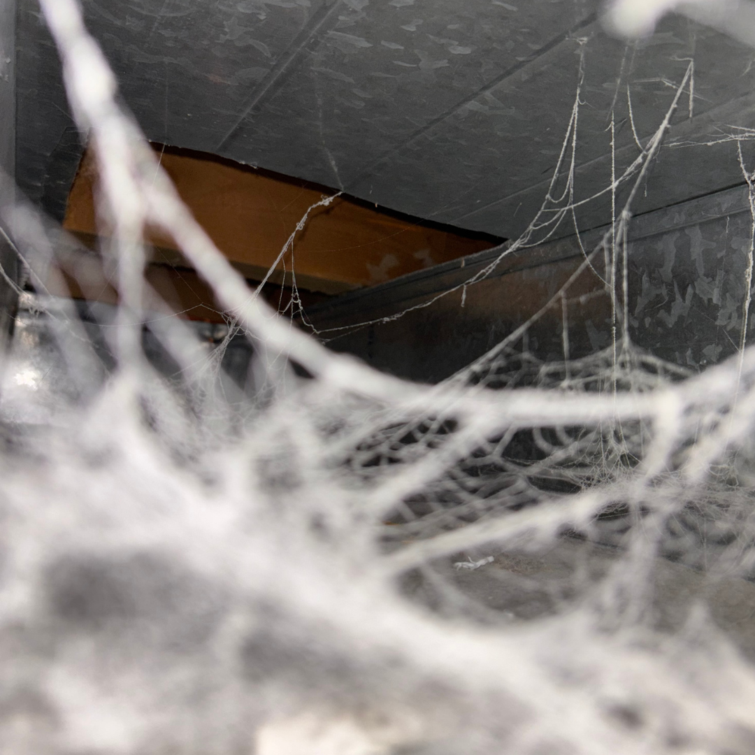 Before duct cleaning - matted dust and cobwebs inside a return duct