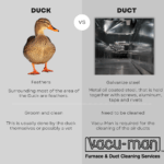 Duct Cleaning vs Duck Cleaning