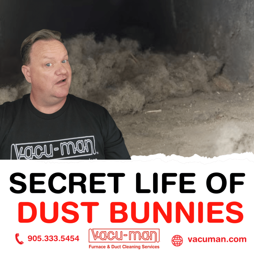 VM - The Secret Life of Dust Bunnies An Inside Look at Your Air Ducts